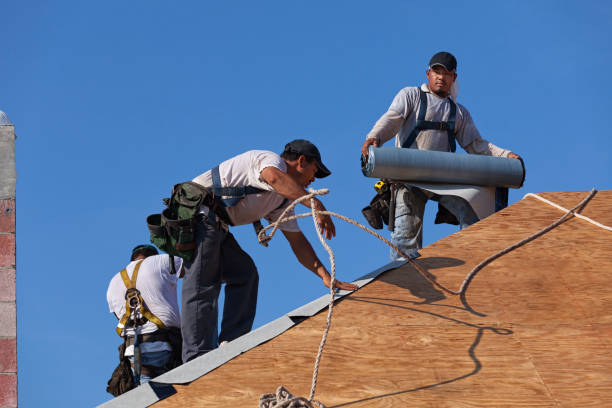 Best Roof Waterproofing Services  in Carteret, NJ