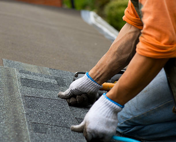 Best Flat Roof Repair Services  in Carteret, NJ